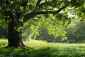 A large tree is in the foreground of a lush green field with Generative AI Royalty Free Stock Photo