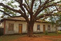 Portuguese colonial style house and a large tree. Historic city of Catas Altas in Minas Gerais