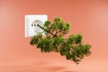 large tree growing out of single white power socket floating in the air over infinite orange colored background concept renewable