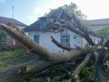 A large tree that has fallen on top of a house Royalty Free Stock Photo