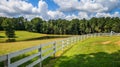 A white fence with a large tree shades the front area of a white fence.