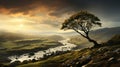 Romantic Tree In Grassy Landscape: Captured By Professional Photographer Royalty Free Stock Photo