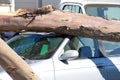 tree branch fallen on top of car, shattering windshield, wind damage Royalty Free Stock Photo