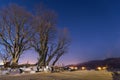 large tree in Winter in Dumulmeori, Yangpyeong, South Korea Royalty Free Stock Photo