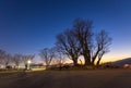 large tree in Winter in Dumulmeori, Yangpyeong, South Korea Royalty Free Stock Photo