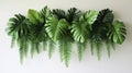 Large tropical leaves and ferns hanging on a simple, light-colored wall. Royalty Free Stock Photo