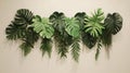 Large tropical leaves and ferns hanging on a simple, light-colored wall. Royalty Free Stock Photo