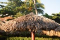 Large tropical Straw sunshade in holiday resort
