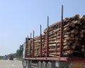 large truck for transporting the cut logs to the sawmill