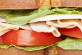 A large turkey sandwhich Royalty Free Stock Photo