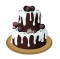 Large two-tiered brownie chocolate cake garnished with white ganache,