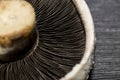 Large upturned field mushroom on a grey table mat