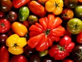 Large variety of different fresh tomatoes