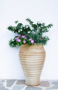 large vase, beautiful, garden, with flowering plants against a white wall Royalty Free Stock Photo