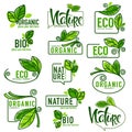 Large vector collection of doodle eco, bio, nature and organic