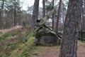 Large and very old sea anchor is set next to a boulder among pine trees Royalty Free Stock Photo