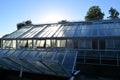 Large Victorian style garden greenhouse.