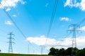 Powerline on the field Royalty Free Stock Photo