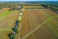 Large vineyard and forest in Australia.