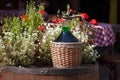 Large Vintage Wine Bottles in wicker basket on a barrel Royalty Free Stock Photo