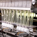 A large volume industrial pill counter filling bottles