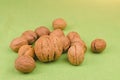 Large walnut as an eyecatcher in the middle of the small nuts