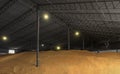 Large warehouse for grain storage Royalty Free Stock Photo