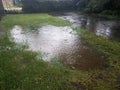 Large water puddle with rain drops in green grass and asphalt Royalty Free Stock Photo