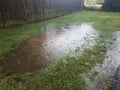 Large water puddle with rain drops in green grass Royalty Free Stock Photo