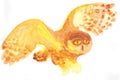 Ginger sun owl flies with wide wings bending