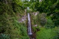 waterfall flowing through dense green forest.