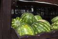 Large watermelons on the market.