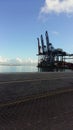 Large shipping cranes