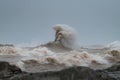 Large wave on Lake Michigan in Milwaukee Royalty Free Stock Photo
