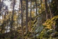 Large weathered granite rock in the shape of a human head with eyes ears mouth and nose overgrown with moss on the mountain Hoher