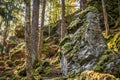 Large weathered granite rock in the shape of a human head with eyes ears mouth and nose overgrown with moss on the mountain Hoher