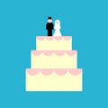 Large wedding cake and newlyweds figurines. Refreshment for a wedding