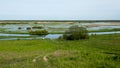 Large wetland area in Biebrza National Park in eastern Poland.