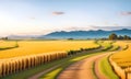 Large wheat in field at a beautiful sunset of nature landscape in sun. Extended rich harvest. Areas agricultural production.