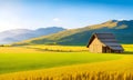 Large wheat in field at a beautiful sunset of nature landscape in sun. Extended rich harvest. Areas agricultural production.