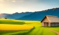 Large wheat in field at a beautiful sunset of nature landscape in sun. Extended rich harvest. Areas agricultural production.