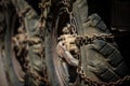 Large wheels of an old ZIL military car with smooth rubber and anti-slip chains.