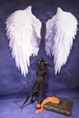 White angel wings, dark cat, old book, orange fabric and red Apple on dark blue background