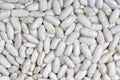 Large white beans to asturian fabada Royalty Free Stock Photo