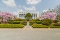 Building framed by beautiful cherry blossom trees