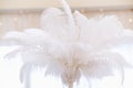 A large white cloud of feathers in the bright interior of the restaurant hall.