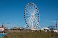 Large white ferris wheel with many enclosed compartments on the Steel Pier in Atlantic City, New Jersey seen from the beach dunes Royalty Free Stock Photo