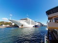 Modern Cruise Ship Docked in Sydney Harbour, Australia Royalty Free Stock Photo