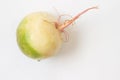Large white radish. White background. Royalty Free Stock Photo