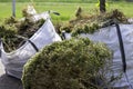 Large white rental bags with organic green garden waste